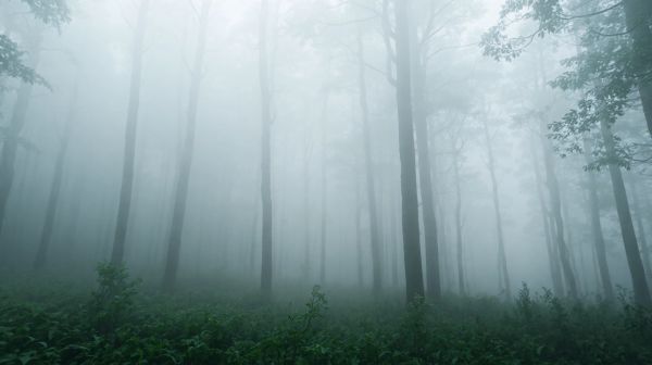 Top générateurs de brouillard pour une sécurité maximale